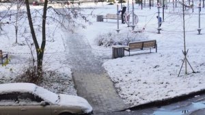 ЛЮБОПЫТНАЯ ВОРОНА