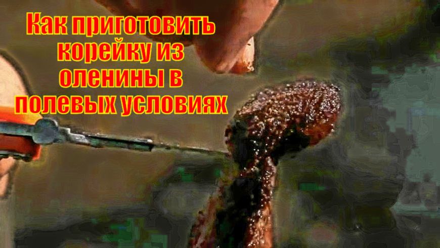 Как приготовить корейку из оленины в полевых условиях