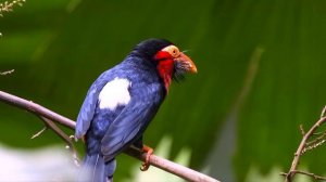 МУЗЫКА ДЛЯ ОТДЫХА И УСПОКОЕНИЯ, ПОМОГАЮЩАЯ РАССЛАБИТЬСЯ И ЗАСНУТЬ.