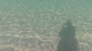 Море, солнце, пляж. 11.11.25г.Хроника.