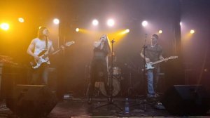 Носок игривой псины - "Клоун" ("Рок в защиту животных" Владимир 15-11-2025)