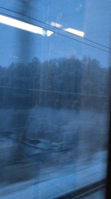 За окном 15-11-2025