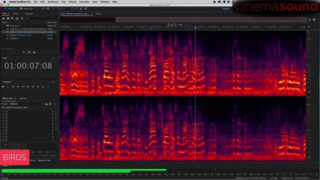 V3 CX_ Chapter Bonus_ Killing the Noise & Artifacts in Adobe Audition