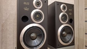 Акустические колонки Victor SP-EV5