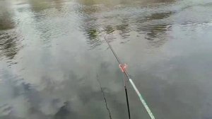 Рефтинское . Ноябрь . Холодный канал , клёв .