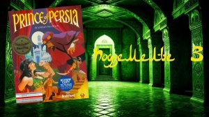 Prince of Persia (DOS, 1990) - Подземелье 3