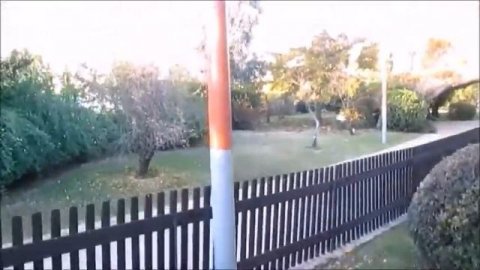 Обзорная прогулка по тематическому парку Сочи парк отзывы