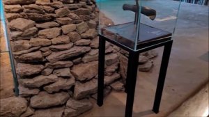 артефакты музея археологии