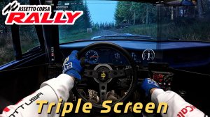 Assetto Corsa Rally — Новинка с Triple Screen