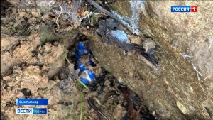 Полицейские Коми задержали сыктывкарца за покушение на сбыт наркотиков в крупном размере