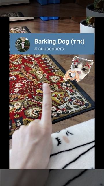 Заходите на мой Telegram канал🙏👉👈 смотреть онлайн