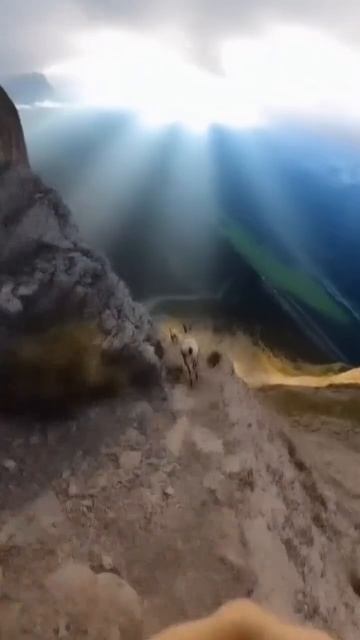 Вот это движуха