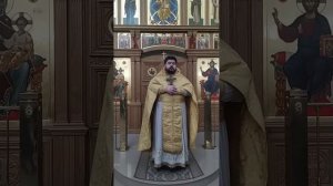 Мы должны быть милосердны друг к другу. Проповедь о. Николая. 15.11.25