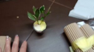 Распаковка посылки с новыми хоечками 🌿❤️