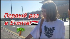 Первый раз в Египте🇪🇬🌴,едем в наш отель!