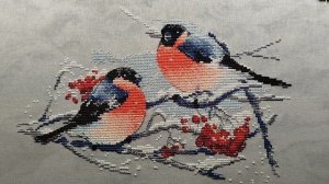 На рябине снегири,Овен1522.