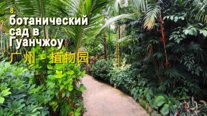8 Гуанчжоу - ботанический сад  - Путешествие по Китаю - 广州 - 华南国家植物园 - 中国旅游