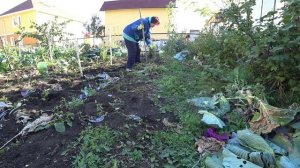 Влог от 21.09.2021