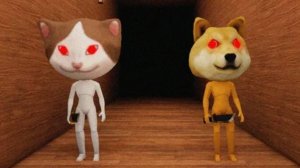 Мы прошли Zooo.