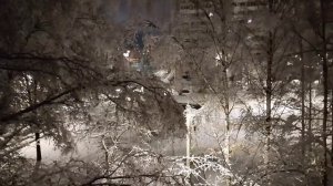 15 ноября 2025