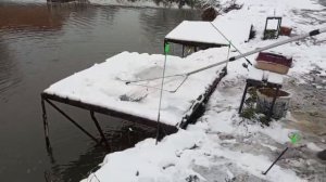 Светлые Горы Форель10 15.11.2025г.