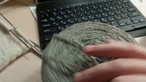 мои новости и вязание