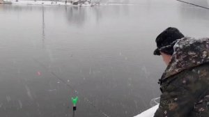 video_2025-11-15_10-48-07