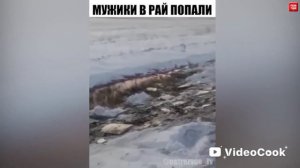 Приколы с алкашами. Бухие бабы. Пьяные разборки. Драка алкашей. Смешные бомжи. Ржака. (1080p)