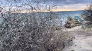 ОДЕССА 15 НОЯБРЯ 2025. КОЛОМОЙСКИЙ ПРО МИНДИЧА. ЗЕЛЕНСКИЙ ДОЛЖЕН БЫТЬ ВНЕ ПОДОЗРЕНИЙ! (480p)