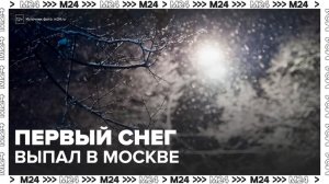 Первый в этом году снег выпал в Москве - Москва 24