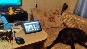 Музей Псов @ Ростислав Звездин @ Сергей Иванов @ Северок @ Рудольф Фукс @ Моя Жизнь Кино @ Музей Пса