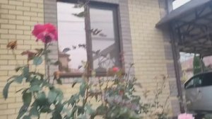 #30 Дворовые дела