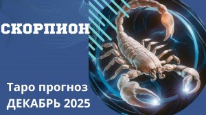 СКОРПИОН ТАРО ПРОГНОЗ НА ДЕКАБРЬ 2025 от Натали Эллиф   15-11-2025