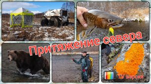 Притяжение севера. TV версия.