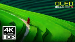 Природа и жизнь. Самое потрясающее видео, которое вы еще не видели! 4K HDR