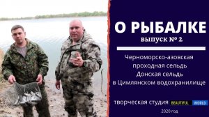 Черноморско азовская проходная сельдь Донская сельдь в Цимлянском водохранилище