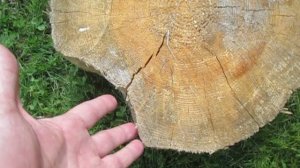 Джутовая пакля и джутовая лента. Как правильно определить