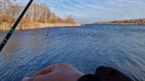 Рыбалка на спиннинг 15 ноября 2025_1