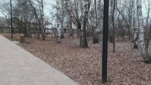 Опять серенькая.