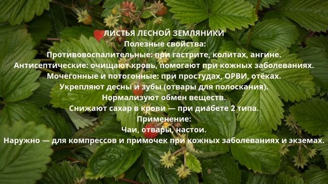 "Сила заключенная в травах" автор Игорь Верещага.