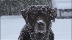 Ой, мороз-мороз