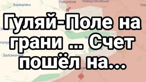 ТАМИР ШЕЙХ / СЕРГЕЙ ЕГОРИН. ГУЛЯЙ ПОЛЕ НА ГРАНИ. сводки новости