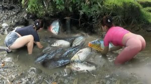 Ловим рыбу бамбуковыми сетями и осушением пруда. Продаем рыбу на рынке. Жизнь во Вьетнаме