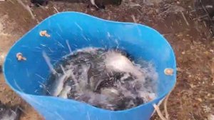 WhatsApp Video 2025-11-15 at 17.31.31