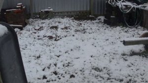 Первый снег