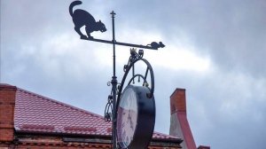 Город кошек и людей Зеленоградск