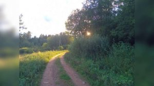 ПРОСНИСЬ СЫНОК, УТРО УЖЕ