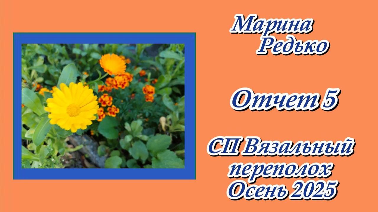 СП "Вязальный переполох. Осень 2025" / Отчет 5 смотреть онлайн