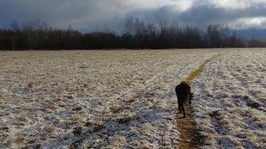 Первый снег. Красота поздней осени 💯👍