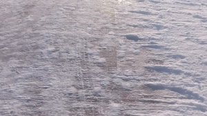 Пришла зима в Сибирь